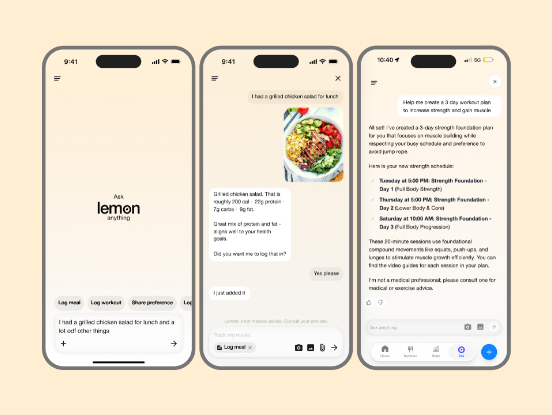 Lemon app AI chat screen showing natural language meal logging and Q&A
